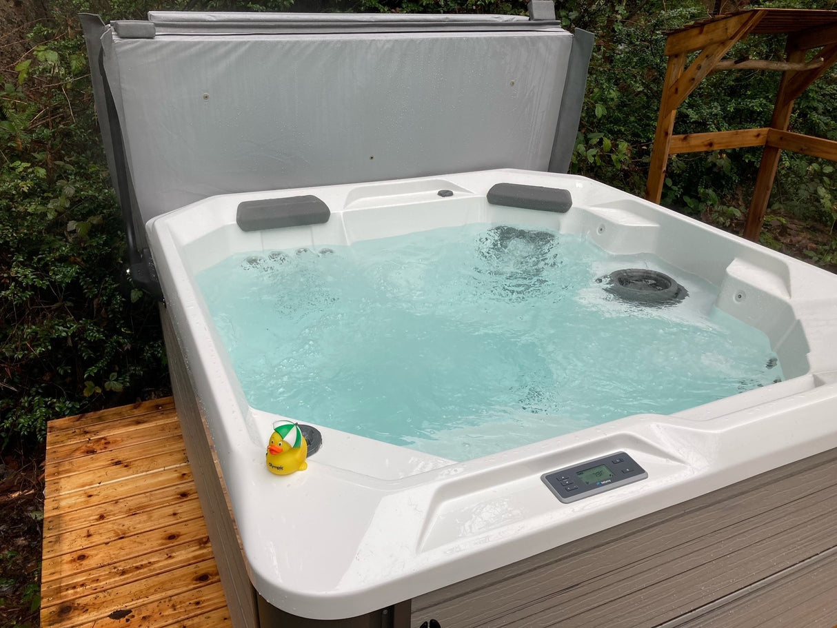 Hot Spring Hot Spot Collection SX Hot Tub