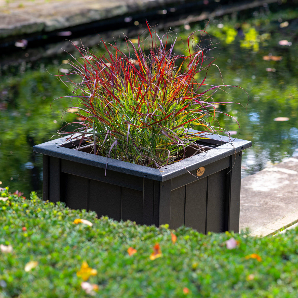 This is a lifestyle image showing the black square planter with red plants growing out of it.