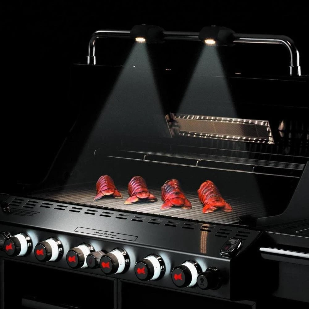 Weber Summit® S-670 Stainless Steel LP Grill