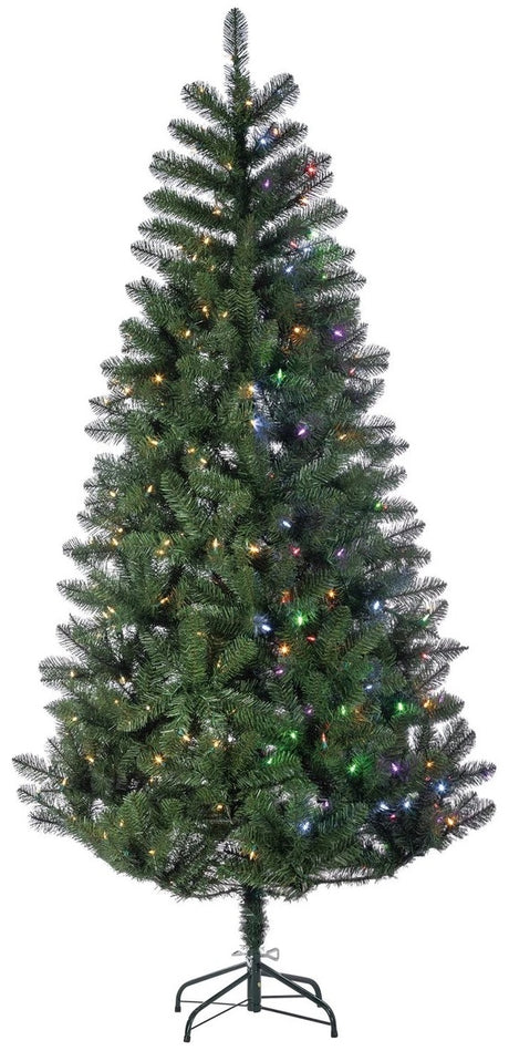 Christmas tree decorated with dual lights. Lights change from multi-colored to clear.