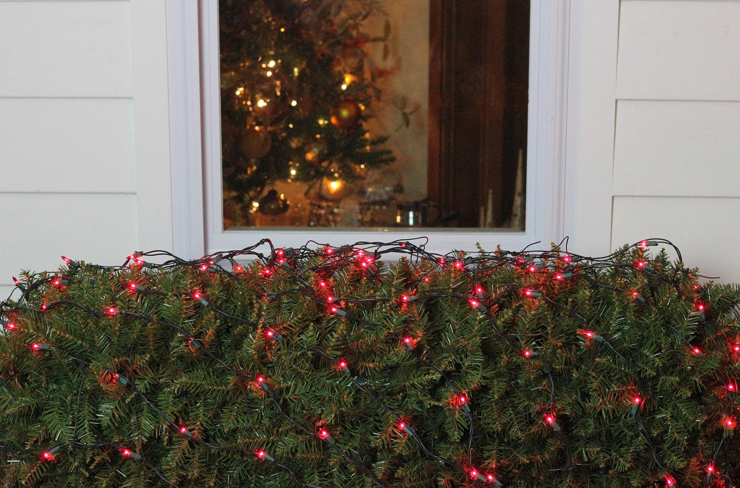 Basically a blanket of lights. You can wrap it around tree trunks, you can throw it over a bush, etc. The lights are red and the wire is green.