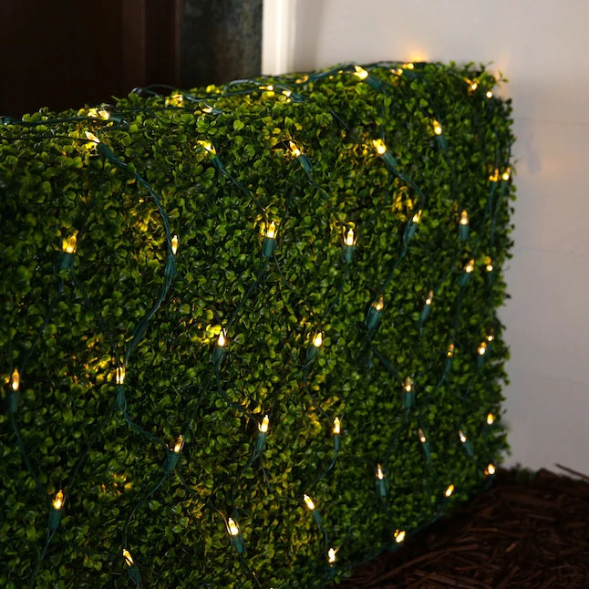 Set of 100 Professional Grade Christmas LED Net Lights