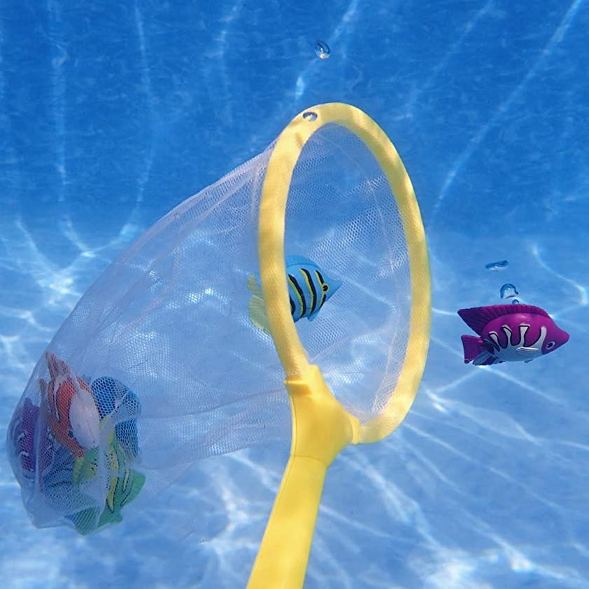 Pool game consisting of a net and colorful fish. Perfect for diving games.