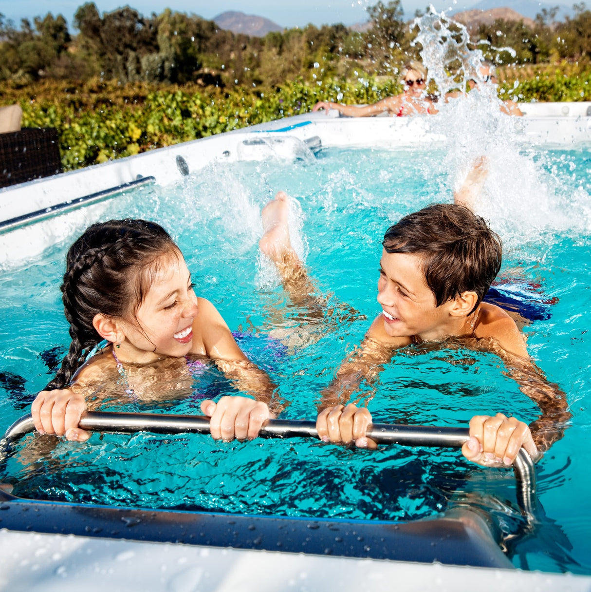 Endless Pools® Fitness Systems E2000