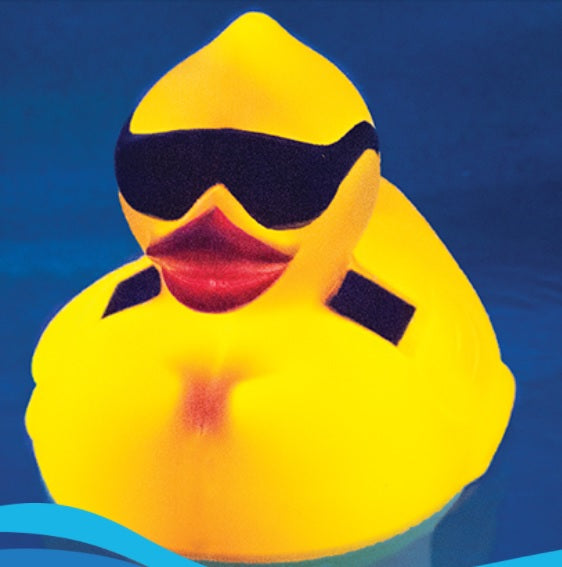 Solar Powered LED Derby Duck Pool Chlorinator 8002