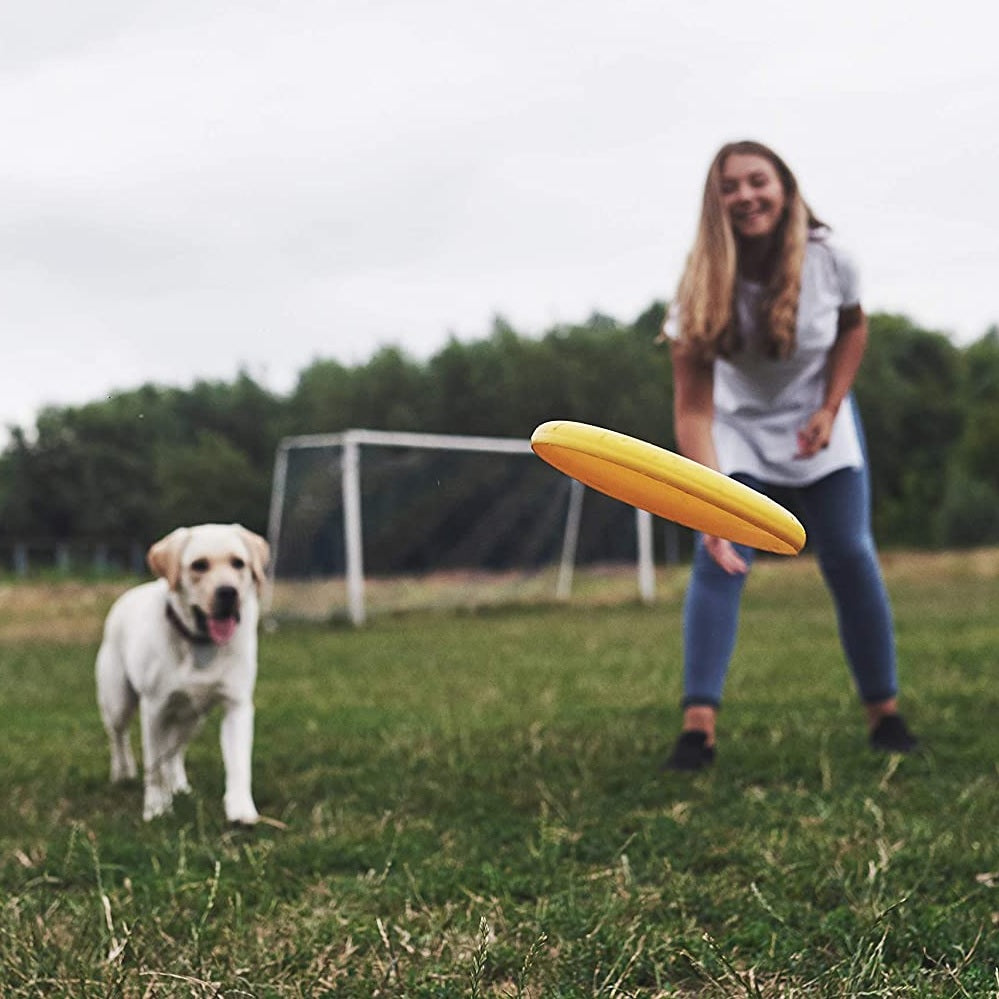This is a lifestyle image showing a girl throwing one of the frisbees for her dog in a grassy field.