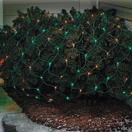 Basically a blanket of lights. You can wrap it around tree trunks, you can throw it over a bush, etc. There are different color options. These lights are red and green.