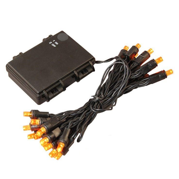 Battery operated orange lights on a black wire.