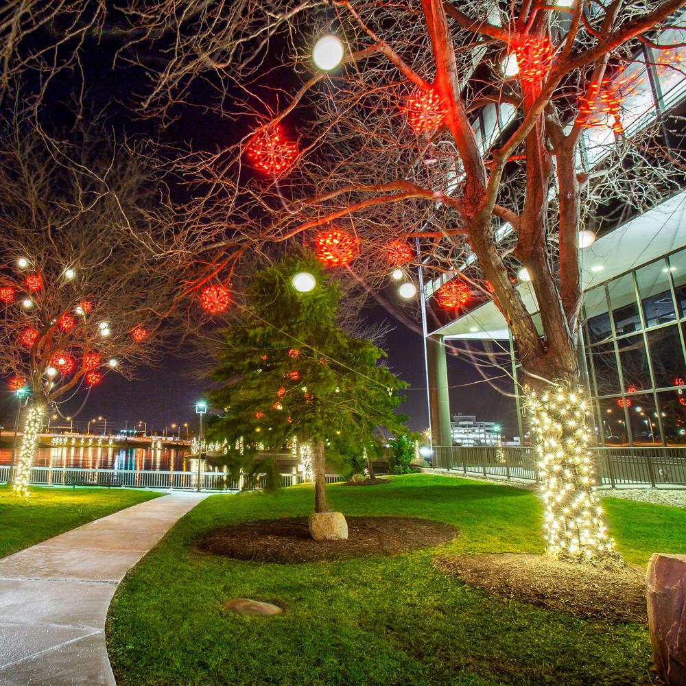 16" Twinkling LED Starburst Clusters