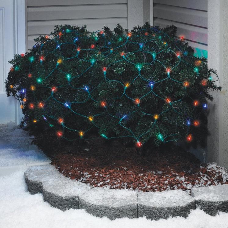 Basically a blanket of lights. You can wrap it around tree trunks, you can throw it over a bush, etc. There are different color options. These lights are multi-colored.