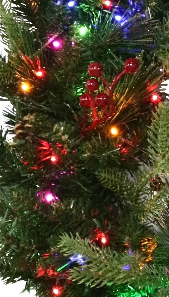 24" Norfolk Pine Wreath with 80 Battery-Operated Starry Lights