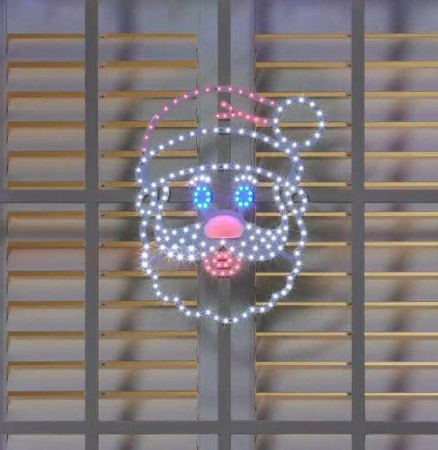 LED singing Santa decoration.