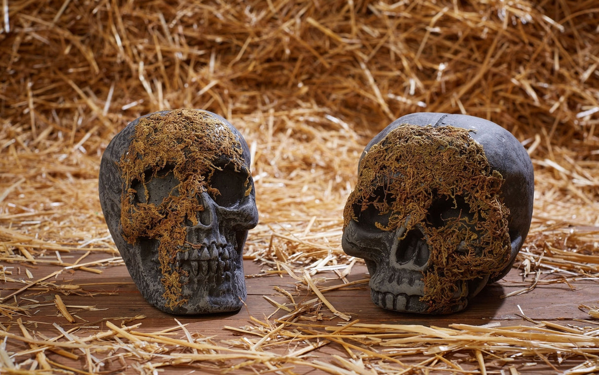 Moss Covered Skull Decoration