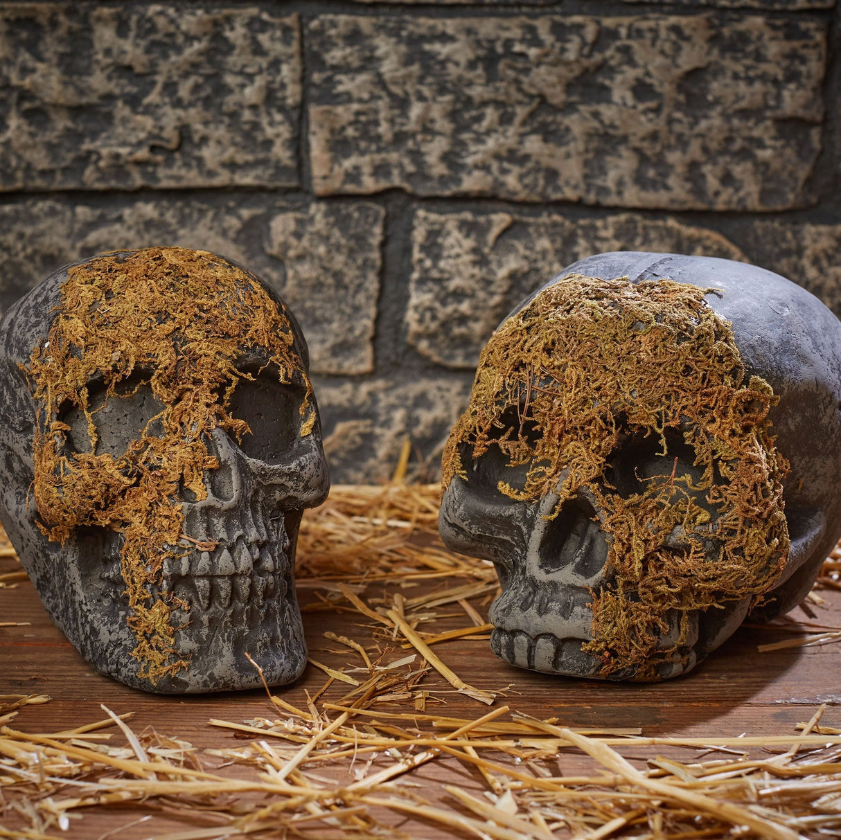 Moss Covered Skull Decoration