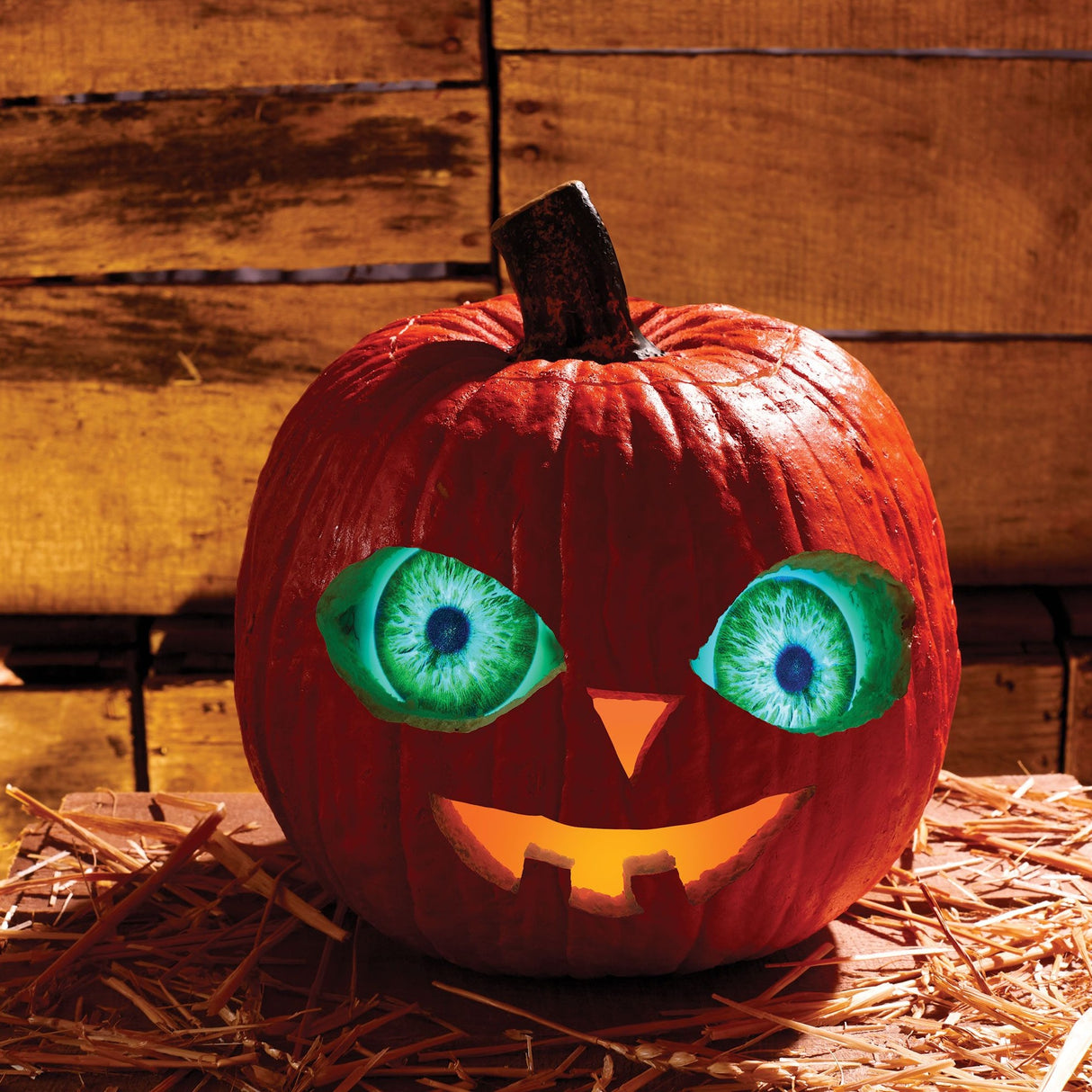 Light Up Eyes for Carved Pumpkins