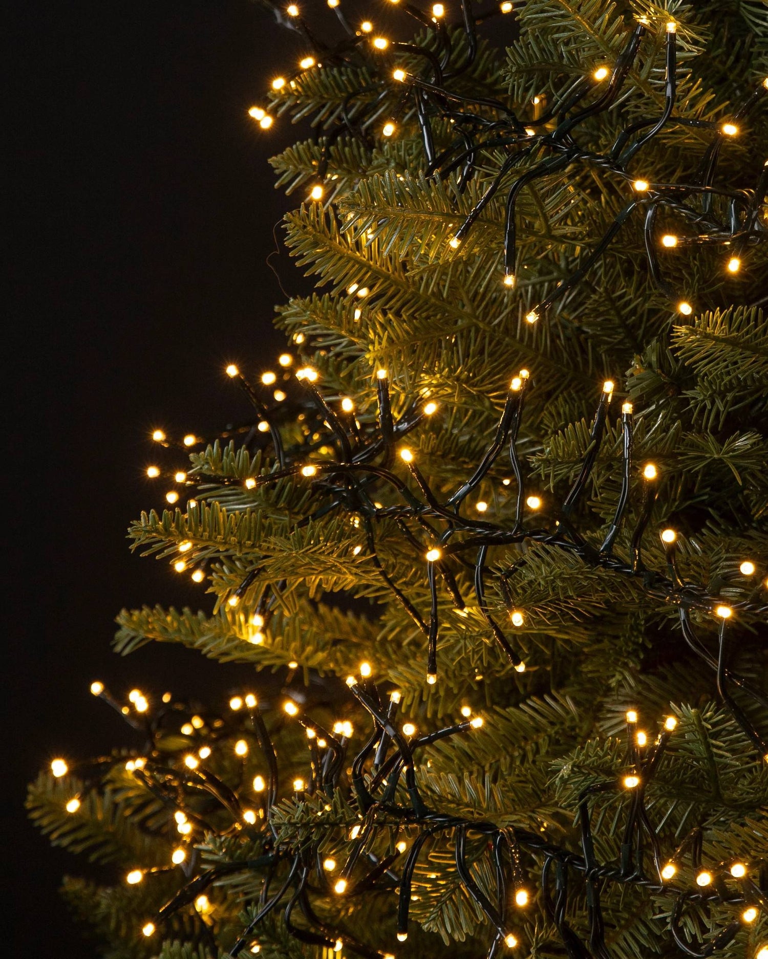 A string of warm white LED lights hanging on branches of a Christmas tree.