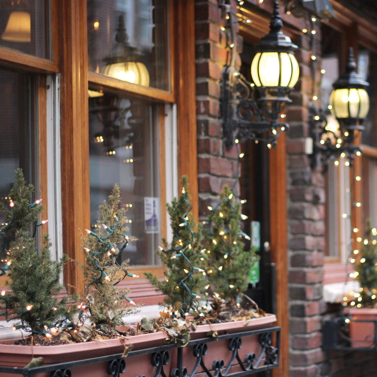 Set of 100 Mini LED Christmas Lights