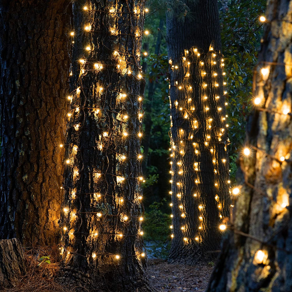 Tree trunk wrap lights. There are two color options: Multi-Colored or Warm White.