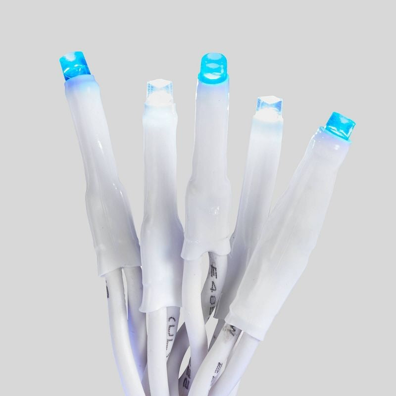 Blue and pure white LED lights.