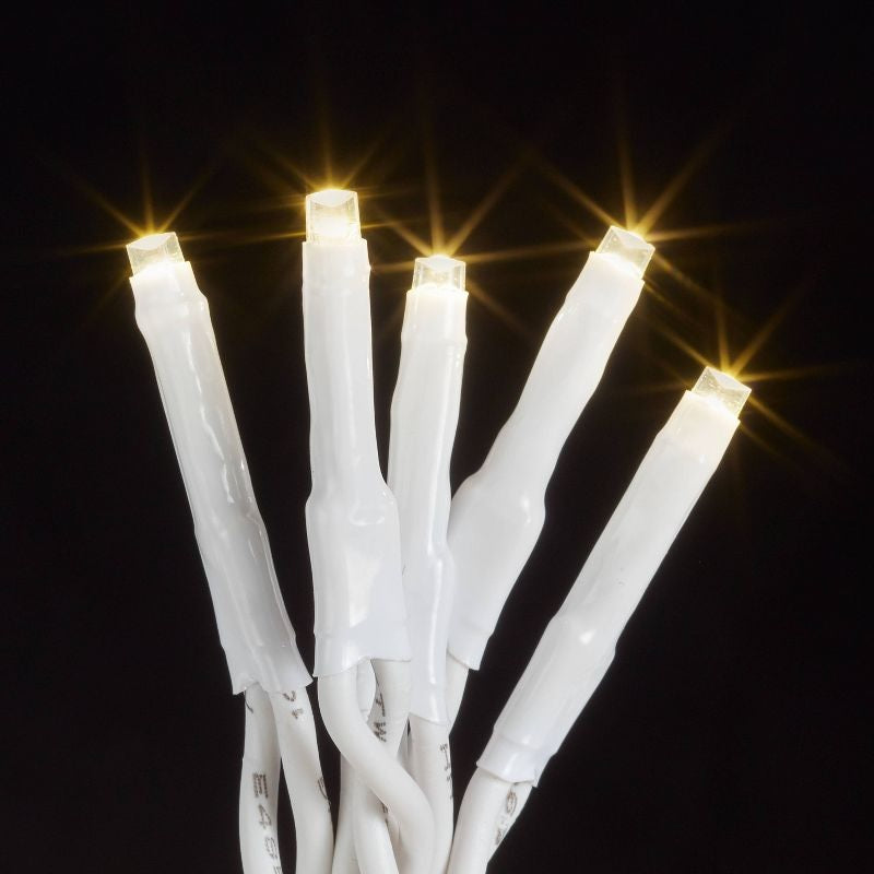 Warm white LED lights.