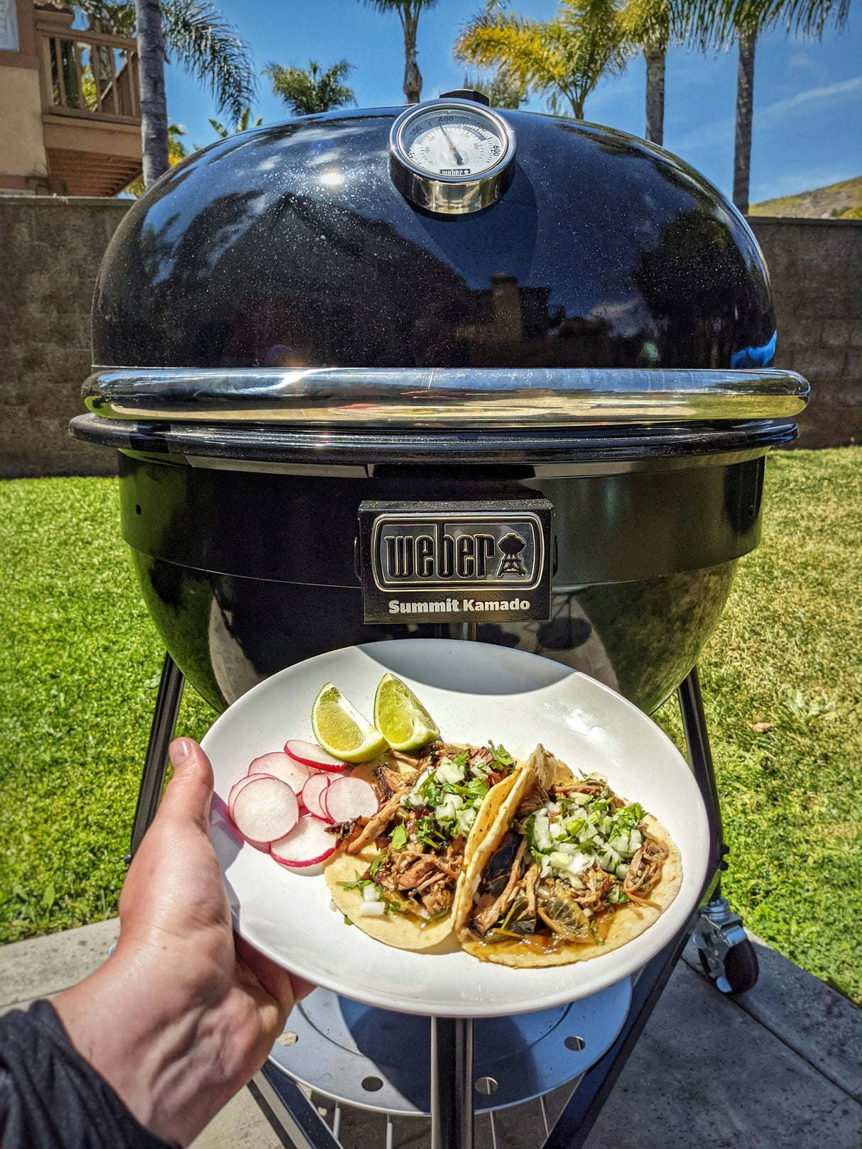 Weber Summit® Kamado E6 Charcoal Grill with Stand