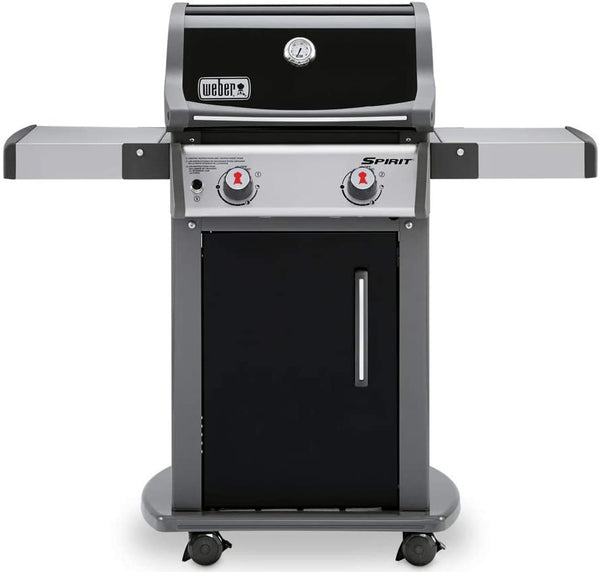 Weber clearance grill closeout