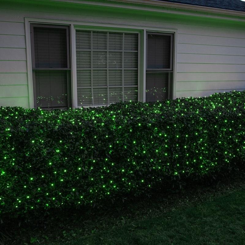 Basically a blanket of lights. You can wrap it around tree trunks, you can throw it over a bush, etc. There are different color options. These lights are green.