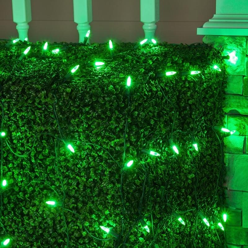 Basically a blanket of lights. You can wrap it around tree trunks, you can throw it over a bush, etc. There are different color options. These lights are green.