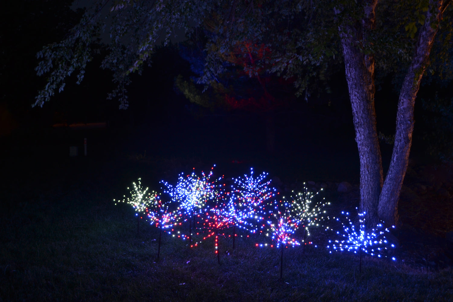 36" LED Twinkle Burst Twig Bush Wire Decor