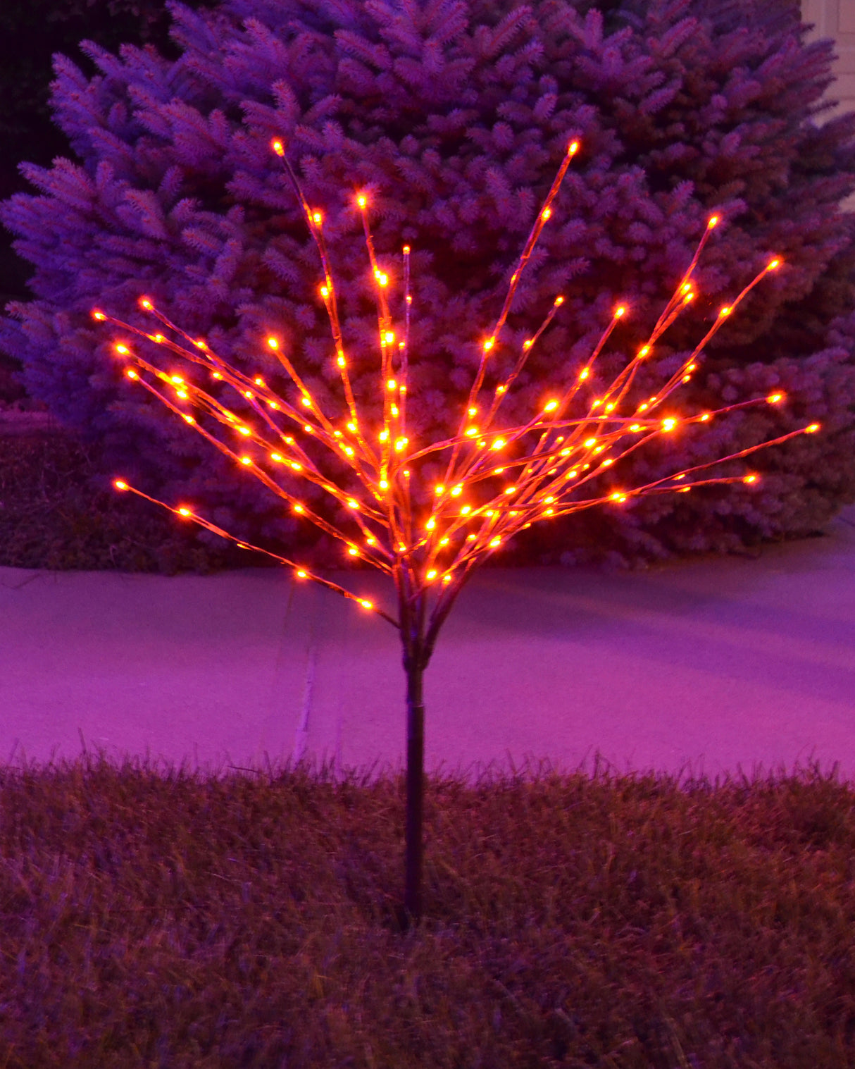 36" LED Light Burst Ground Stake