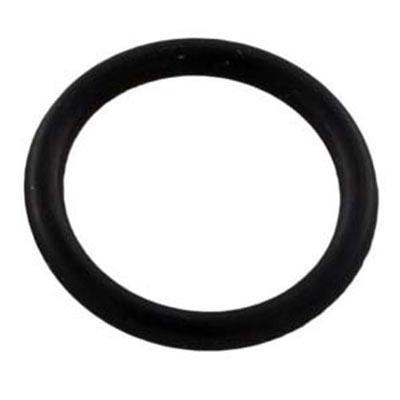 Pentair 192115 O-Ring Drain Plug