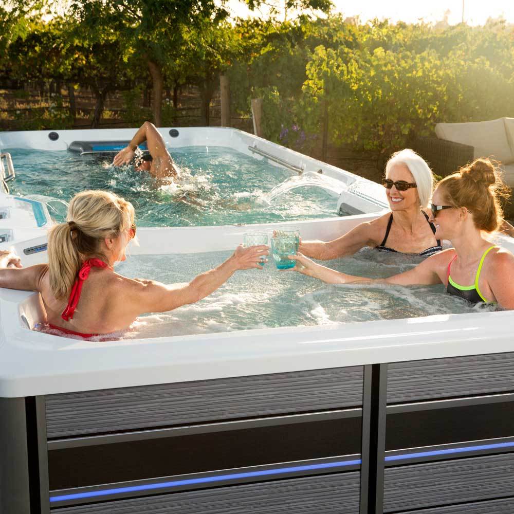 Spa And Wellness - E2000 Endless Pools® Fitness Systems