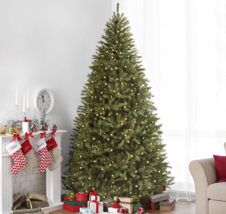 Things to consider when purchasing a Christmas tree this season