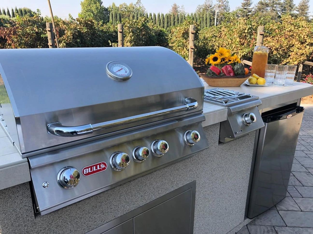 Bull Grills