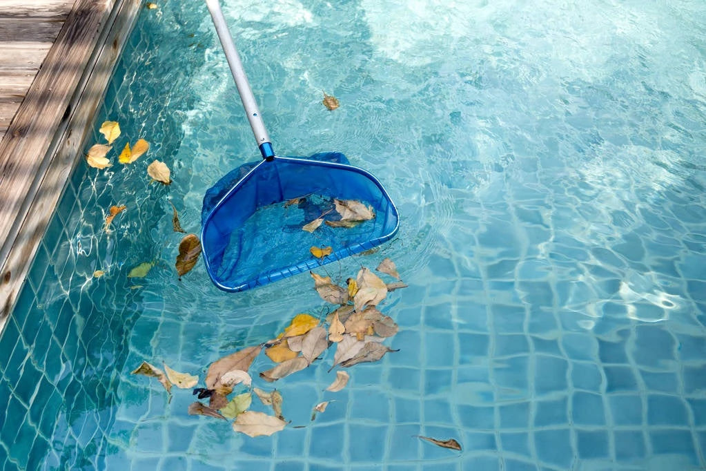 Pool Skimmers & Accessories