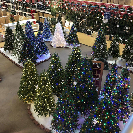 Clearance Christmas Trees