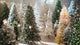 Artificial Christmas Trees