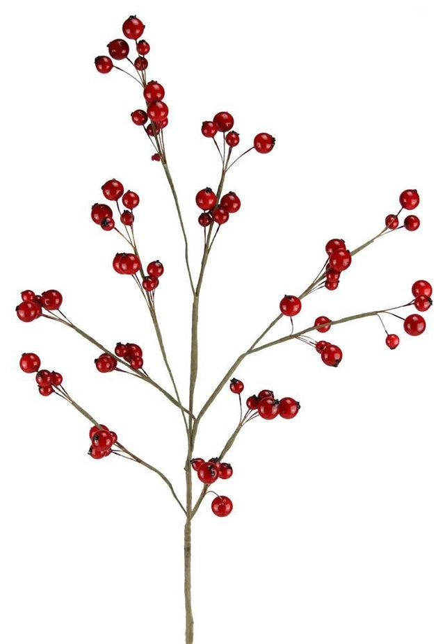 This image shows the pick spray with a brown stem and brown branches. On the branches are different sized hard red berries.