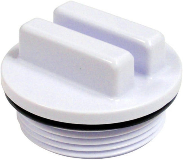 This is a white pool plug with a black "O" ring around it.