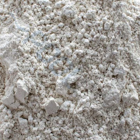 This image shows what the Diatomaceous Earth powder looks like.