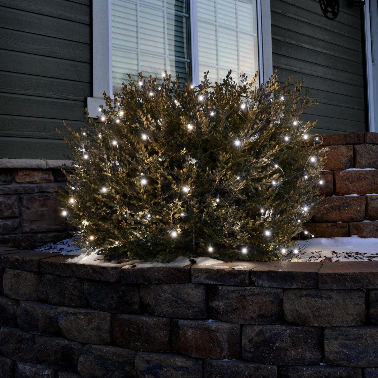Set of 100 Professional Grade Christmas LED Net Lights
