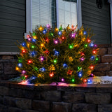 Set of 100 Professional Grade Christmas LED Net Lights