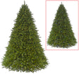 Artificial tree pre-lit with dual lights. Lights change from warm white to multi-colored.