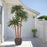 Potted palm tree decoration. Each part of the tree measure 4 ft., 5 ft. and 6 ft. Features 500 incandescent lights. Trunks are covered in Clear lights. Palm Tree Tops are covered in Multi-Colored lights.