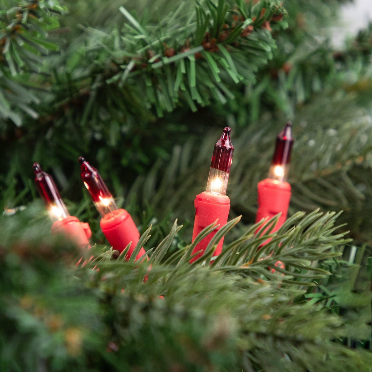 This is a lifestyle image showing the red and white colored mini bulbs on a red light string inside of a tree.