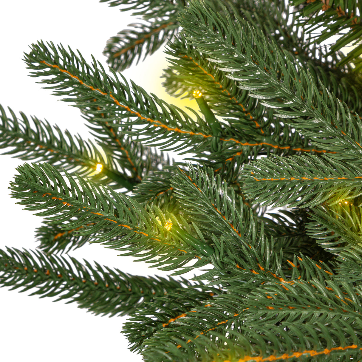 This is an up close view of the branch tips and light bulbs with the lights on. The lights in this image are warm white.