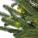 This is an up close view of the branch tips and light bulbs with the lights on. The lights in this image are warm white.