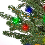 This is an up close view of the branch tips and light bulbs with the lights on. The lights in this image are green, red and blue.