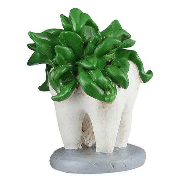 This image shows a green succulent growing inside a tooth.