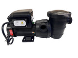 This image shows the pool pump on a white background.